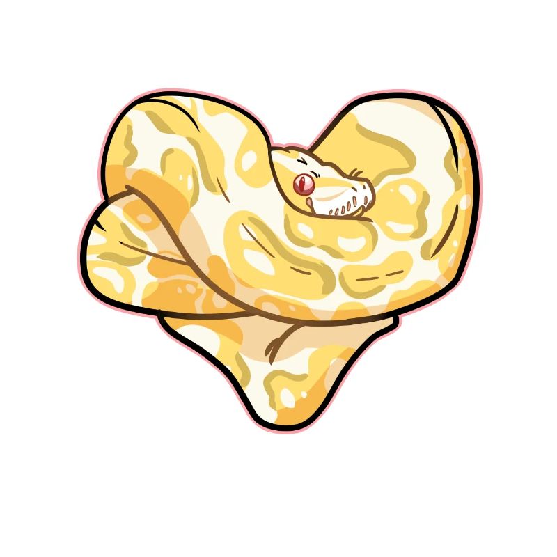 Coeur de python