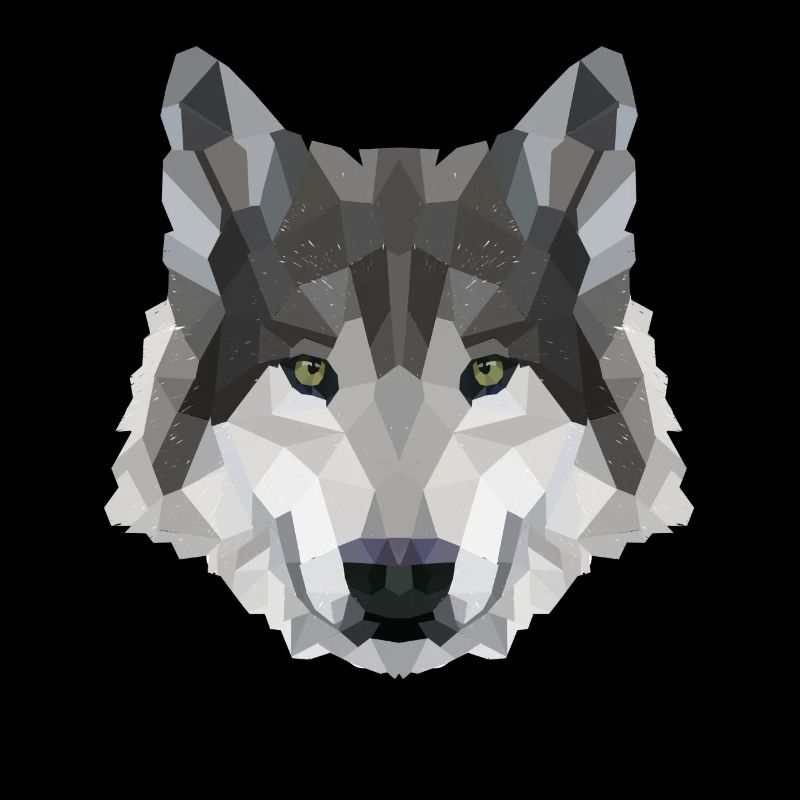 POLYGON WOLF Husky Wölfe Wildtiere Amerika