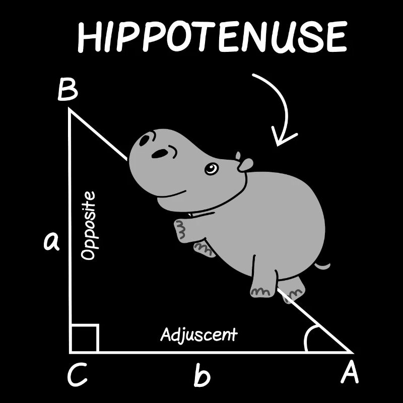Math Teacher Student Engineer School