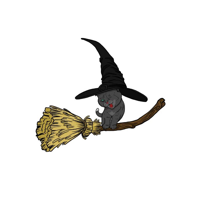 Cats witch on broom with magic hat gift idea