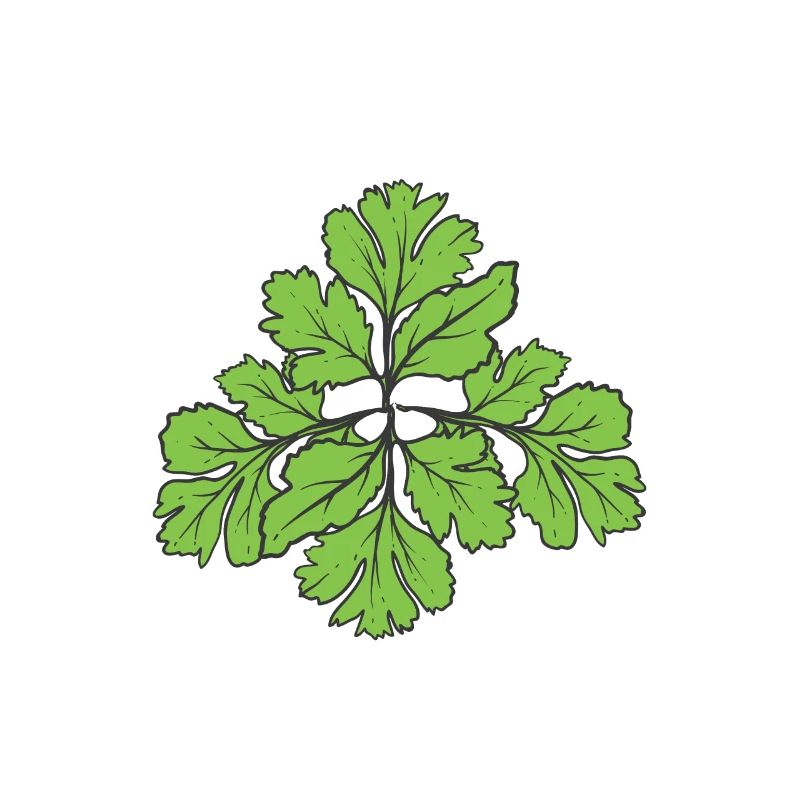 I Hate Coriander - I hate coriander