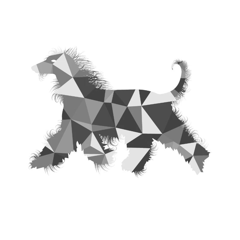 Polygon Afghan Greyhound