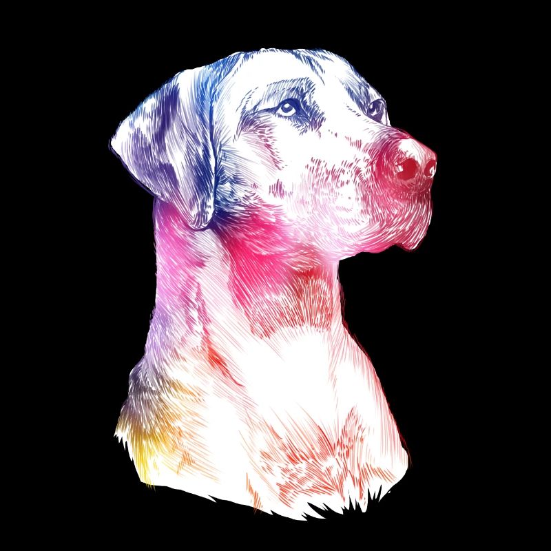 Rhodesian Ridgeback