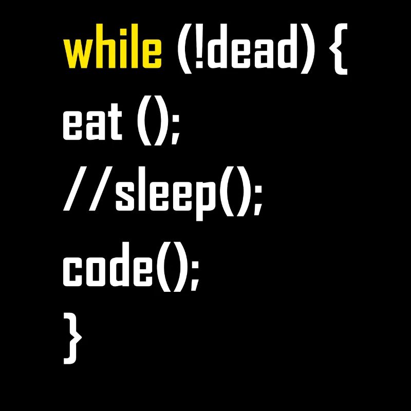 Programmer programming gift