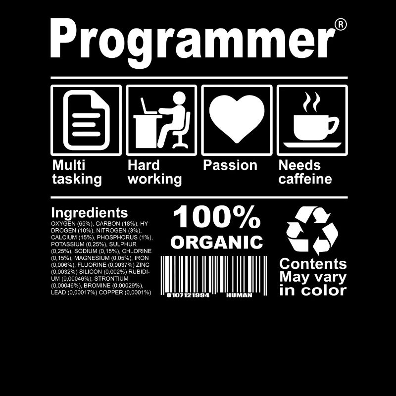 Programmer