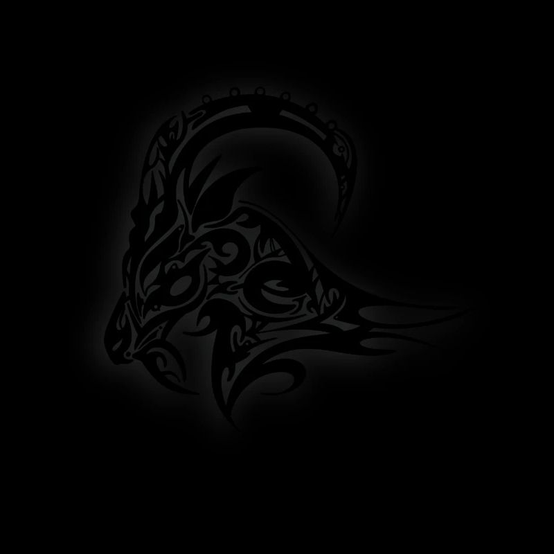 Widder Steinbock Schafbock mit Hörnern