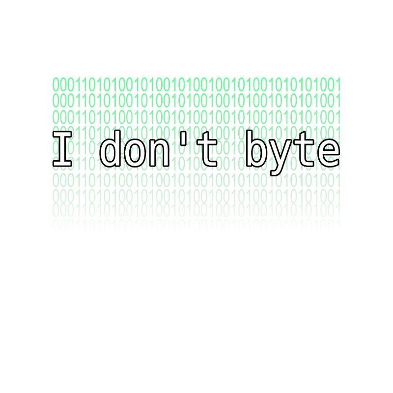 programmer