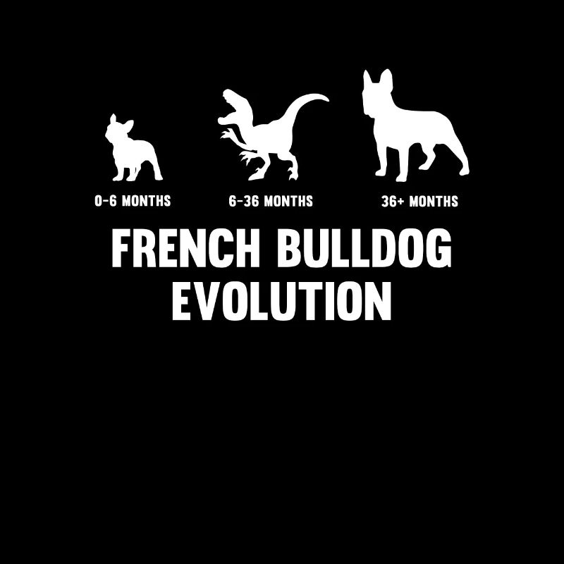 Evolution du bouledogue français pour un