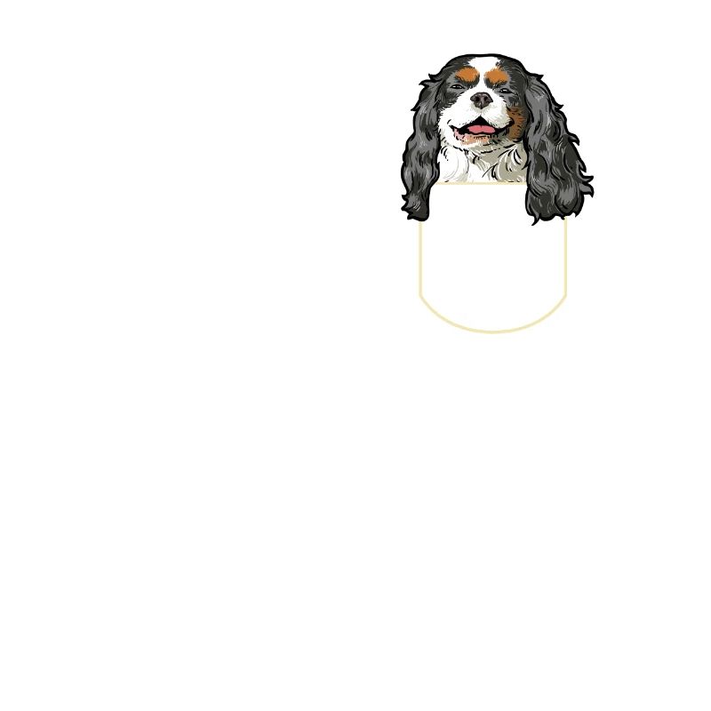 Cavalier King Charles Spaniel Idée cadeau