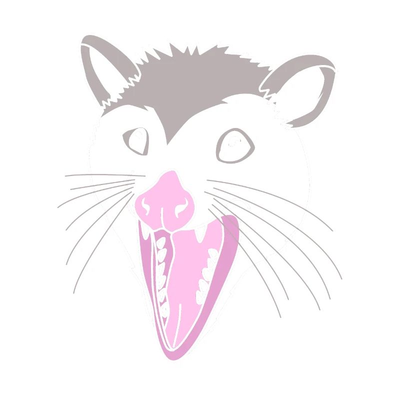 Opossum