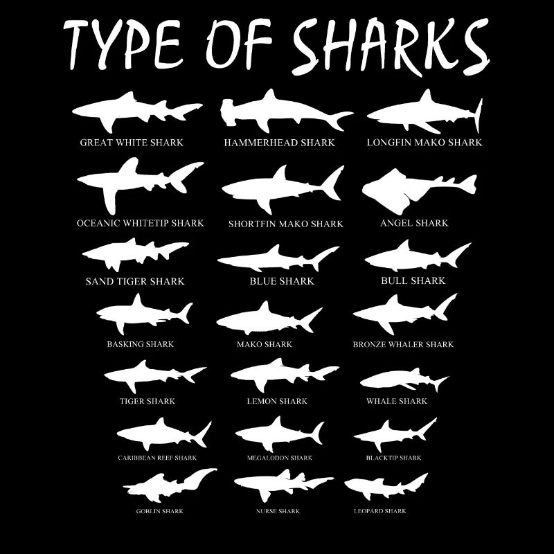 types de requins