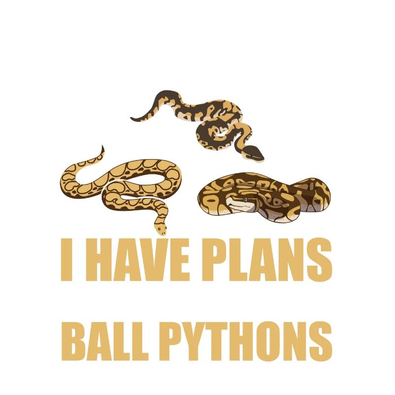 Plans Avec Mes Python Rois De Serpent