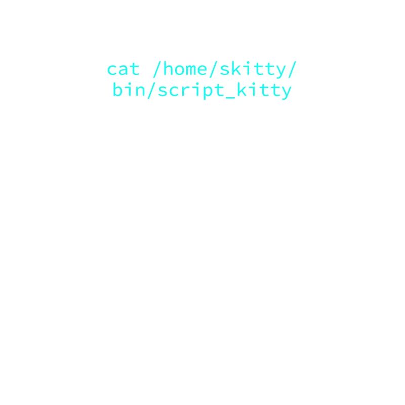 Propriétaire de chat Programmeur Codeur Informaticien