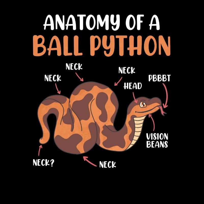 Snake Anotomy of a King Python Ball Python
