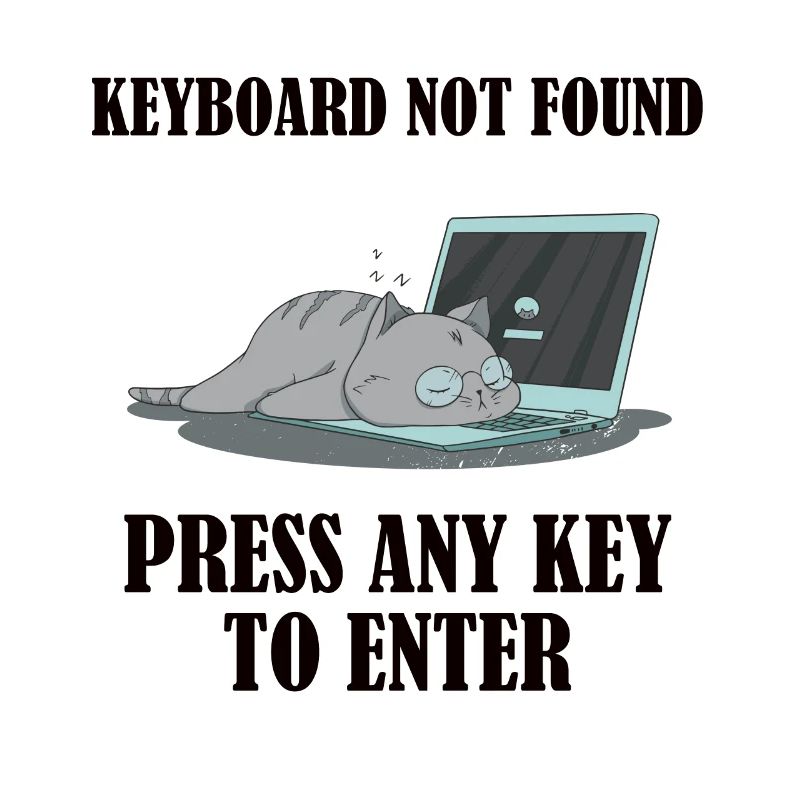 Keyboard not found, press any key to enter