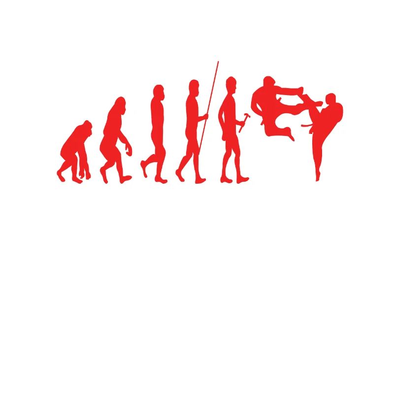 Évolution du karaté