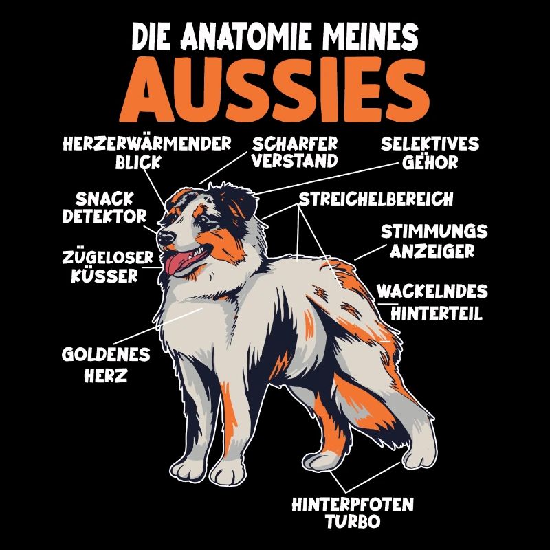 Australian Shepherd Aussie Anatomie Aussie