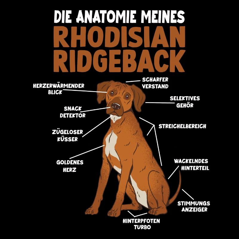 Rhodesian Ridgeback Anatomie Hundehalter Gassi