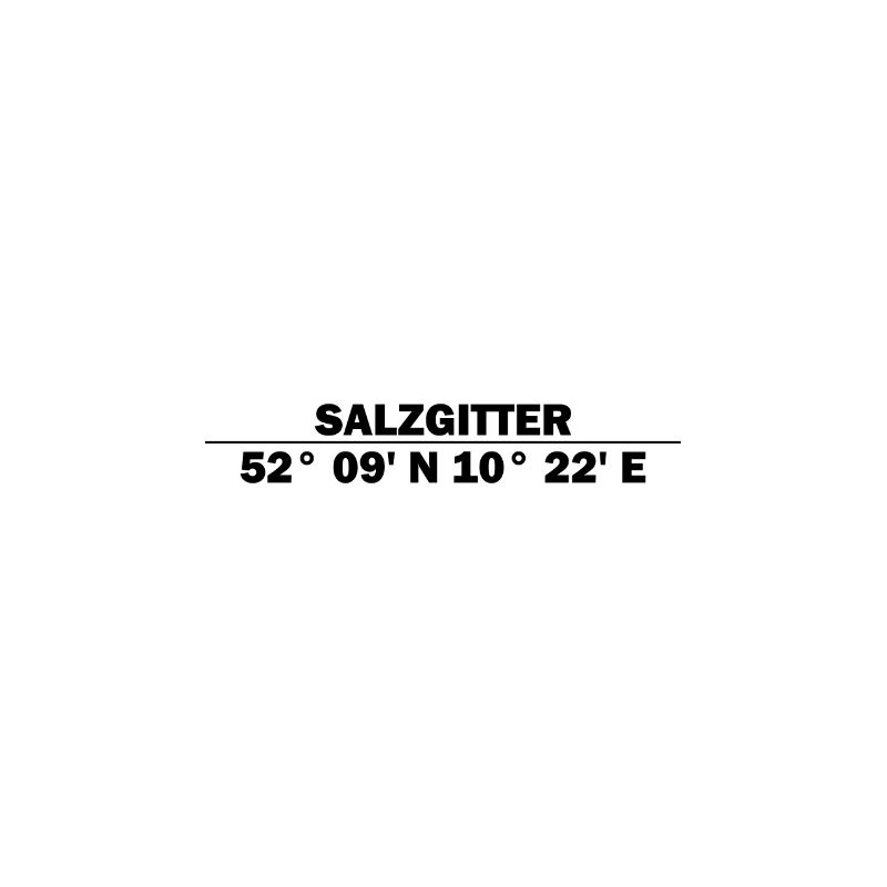 Salzgitter coordinates