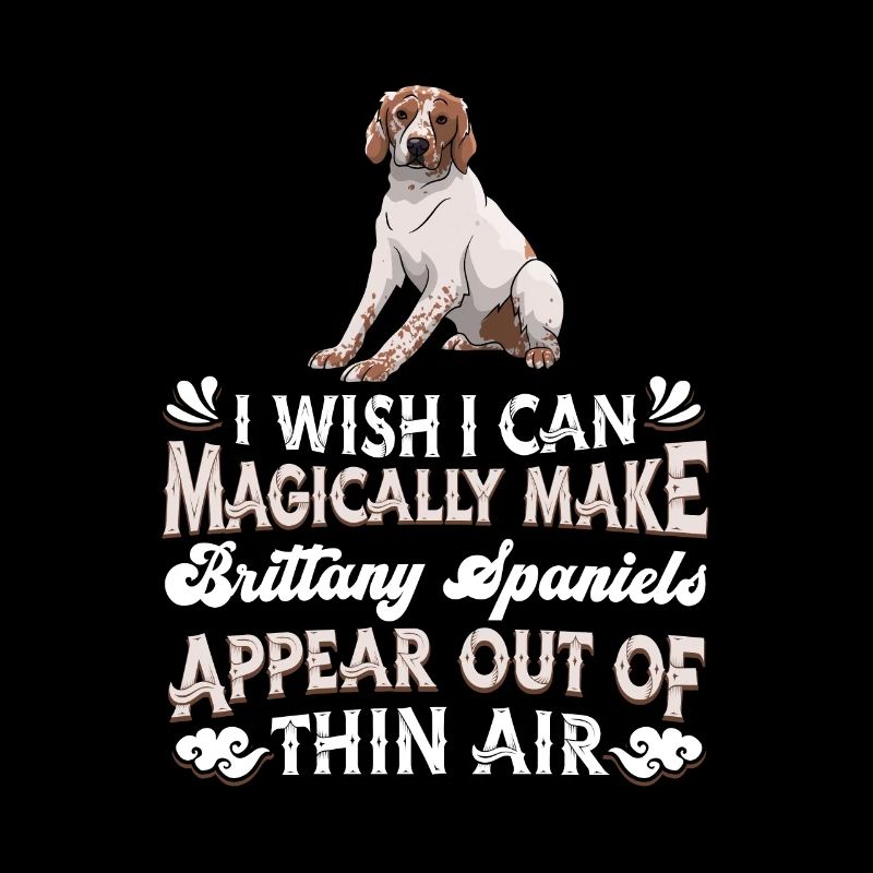 Brittany Spaniel Hund