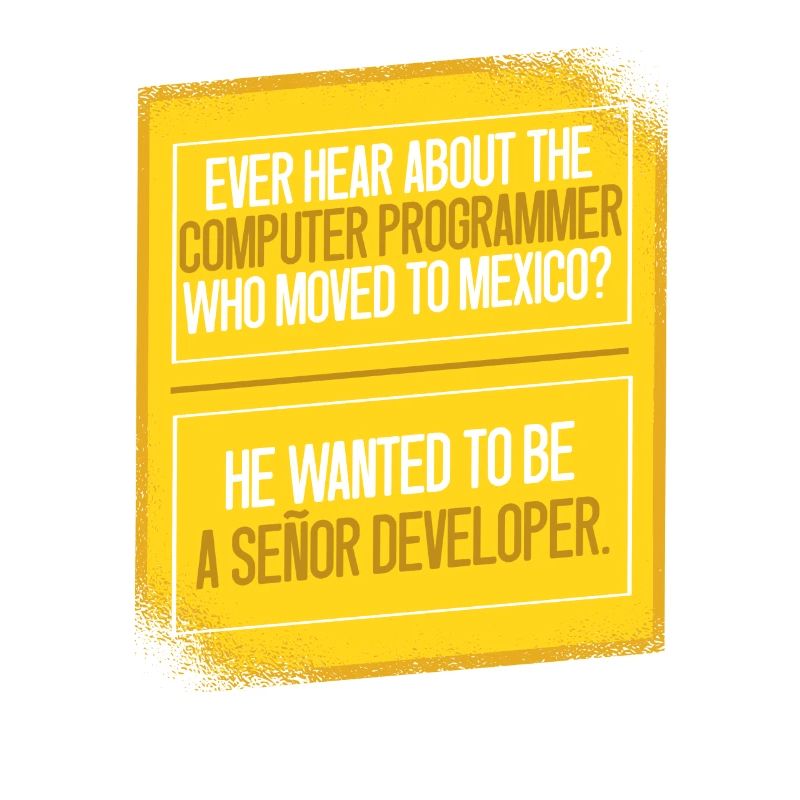 Programmer Coder Software Developer