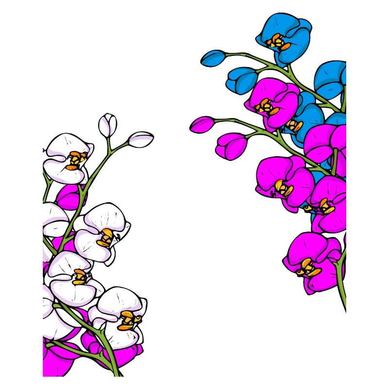 Orchidee Muttertag Geschenk Floristin Orchidee