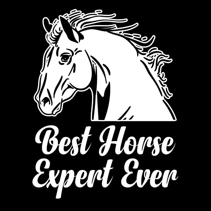 Bester Pferdeexperte Aller Zeiten Pferd Reiten