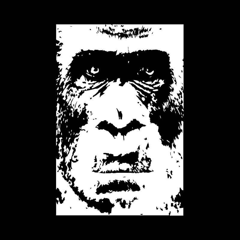 Singe