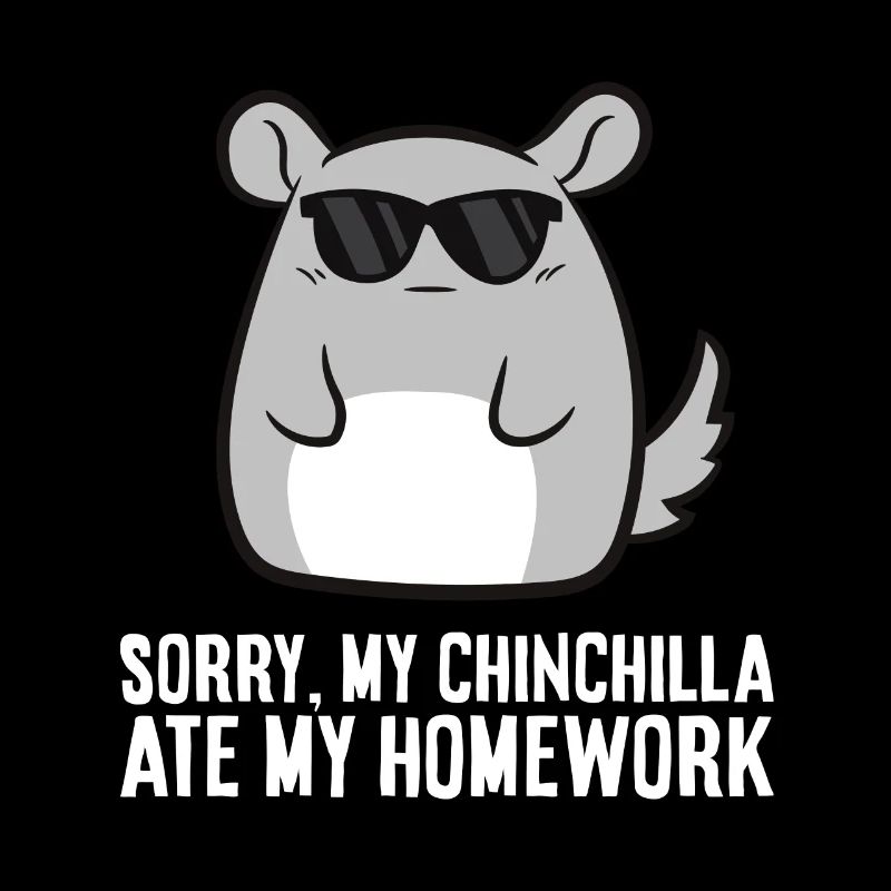 Désolé, mon chinchilla a mes devoirs