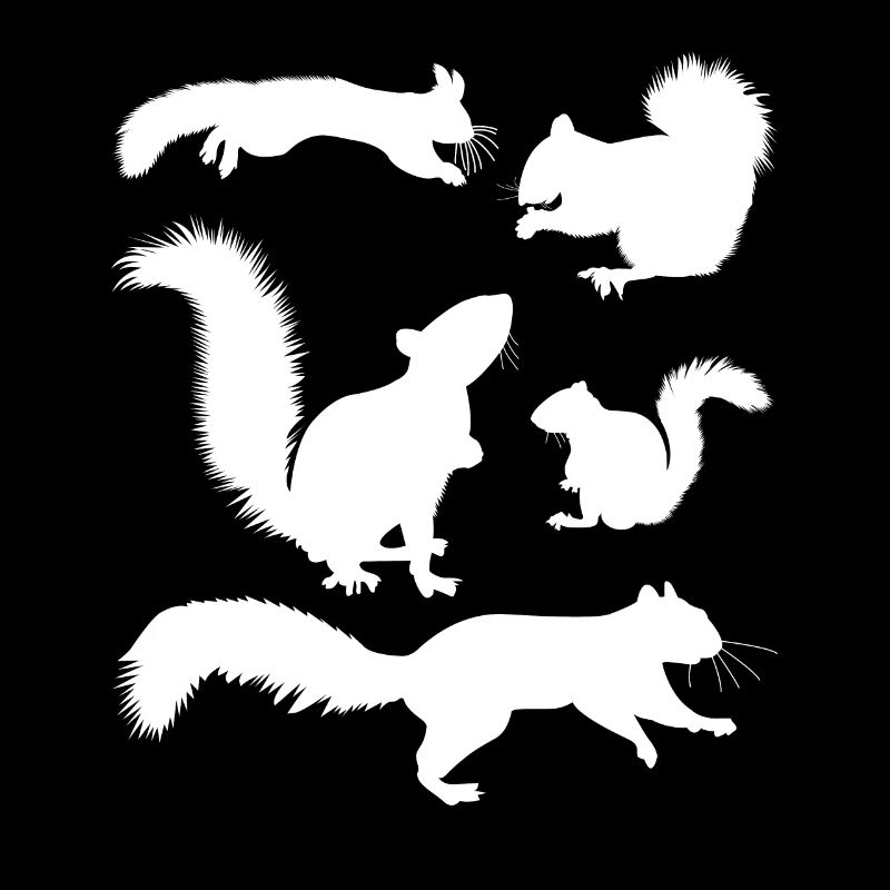Squirrel, cute squirrel lover,