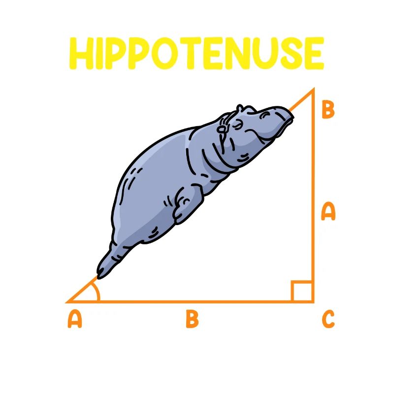 Math Hippo Professeur de mathématiques Hippotenuse