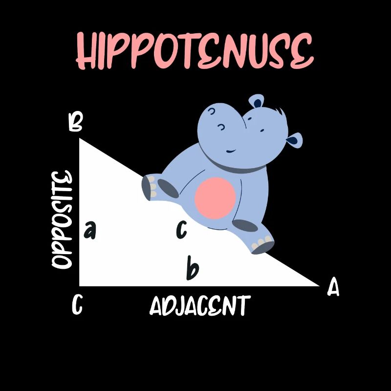 Mathematician Hippotenuse Hippo Triangle