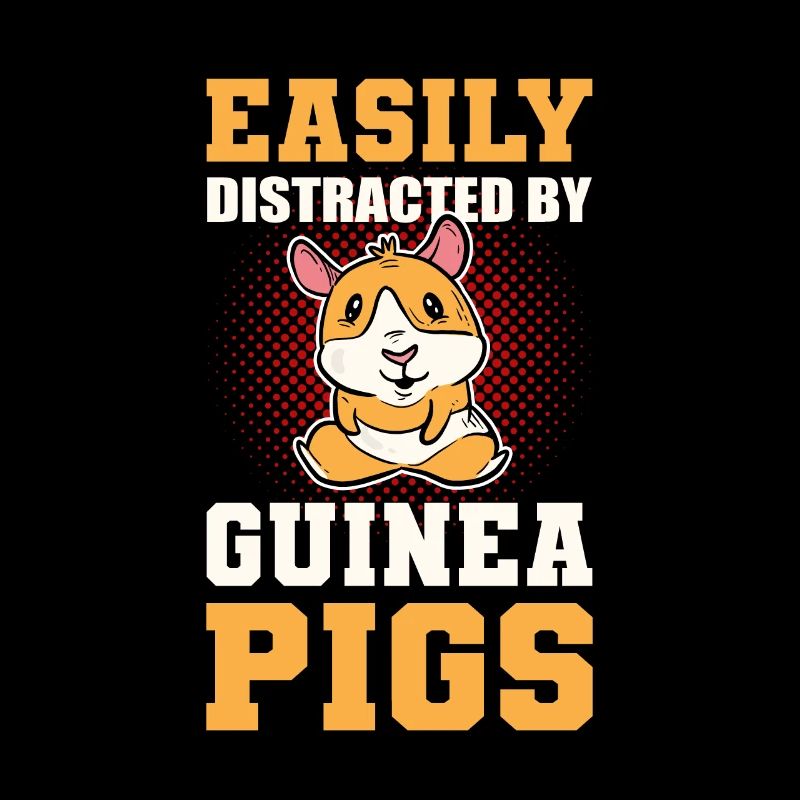 Facilement distrait par les cochons d’Inde
