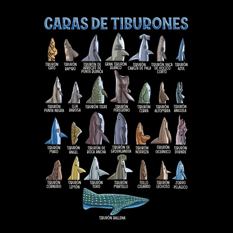 Types de requins Identification des visages