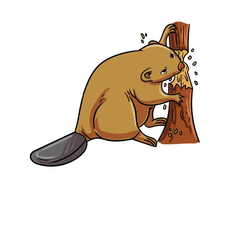 Gnawing on a tree Beaver