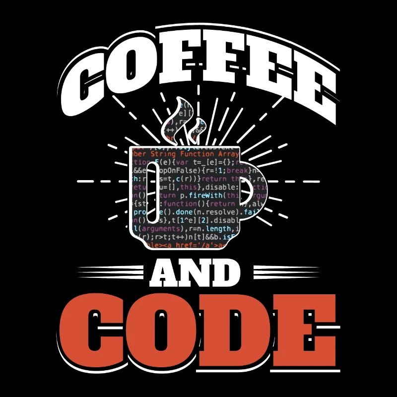 Software Computer Developer