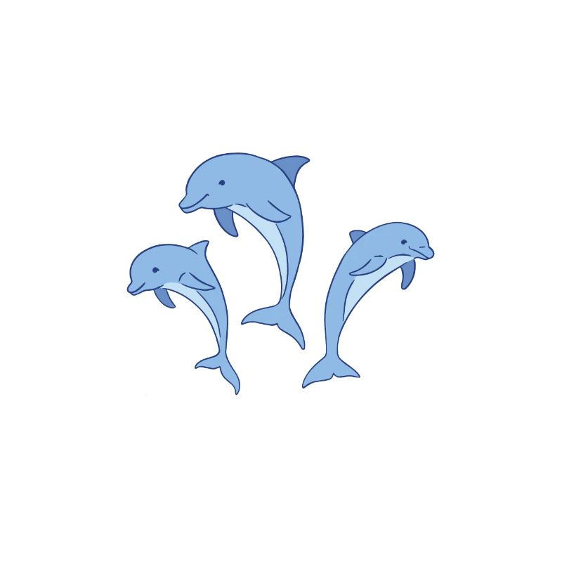 Team Dolphins Lovers Dolphins Dolphins Dolphins