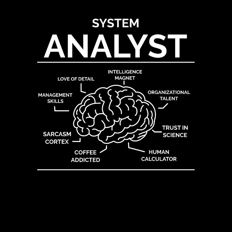 Analyste de systèmes