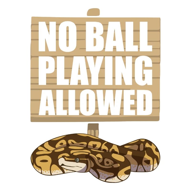 Funny Ball Python Snake