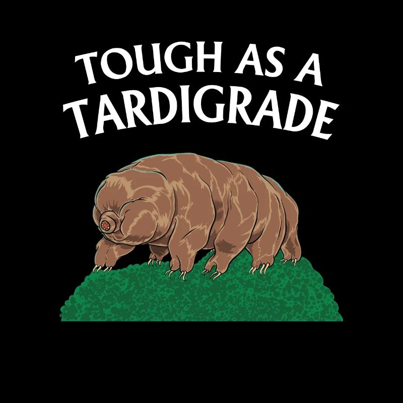 Touch As A Tardigrade Bärtierchen