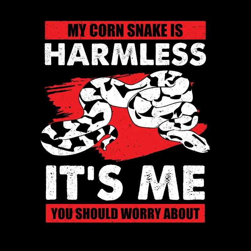 Ordinary corn snake gift