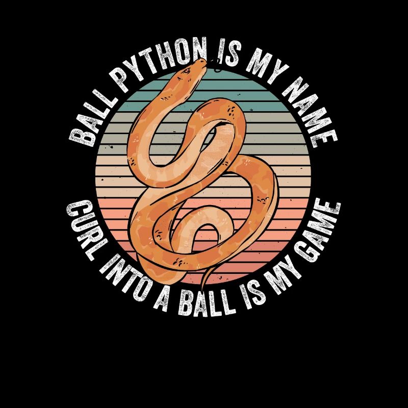 Königspython Bananenkugel Python