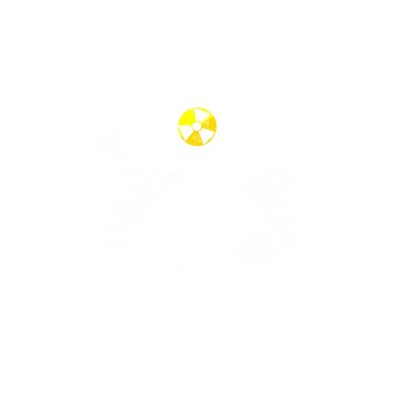 Nuclear Power - Proud Nuclear Engineer