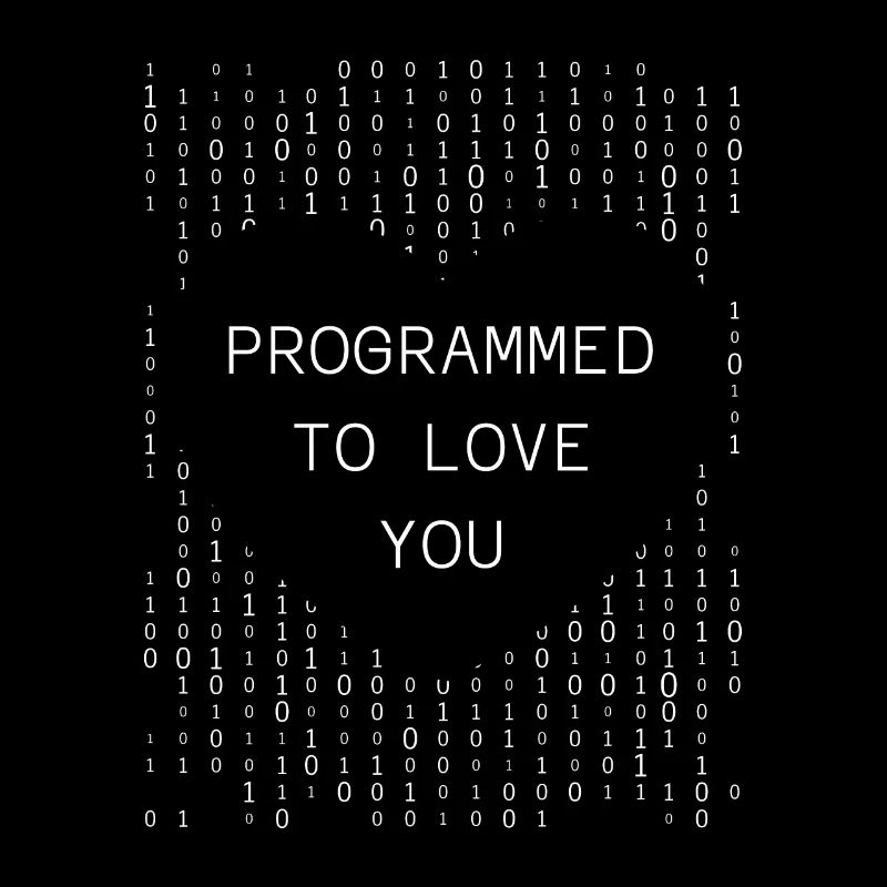 Programmeur Codeur développeur