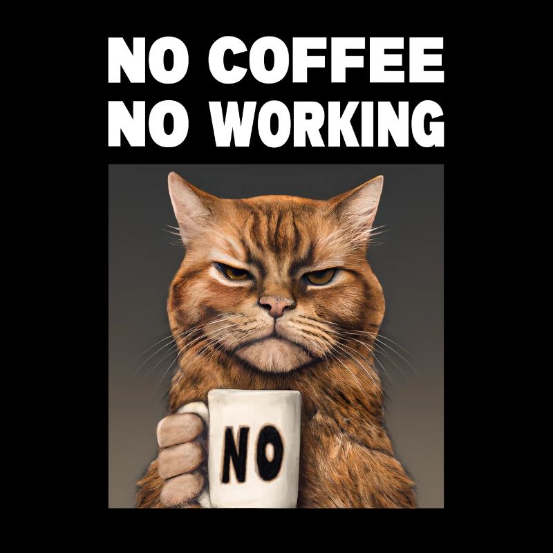 no coffee no working. Grumpy Funny Cat