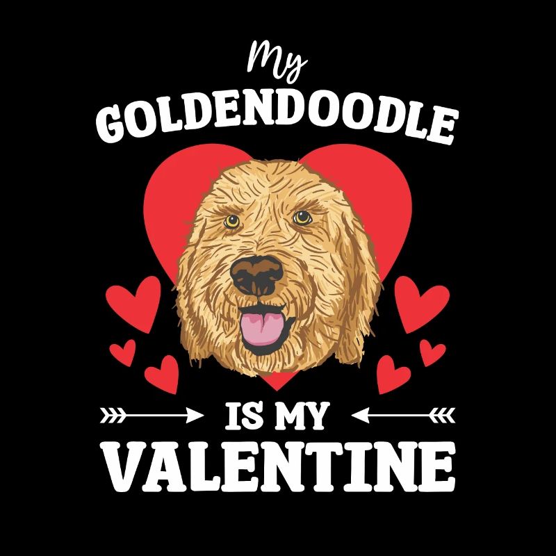 Mon Goldendoodle est ma Saint-Valentin
