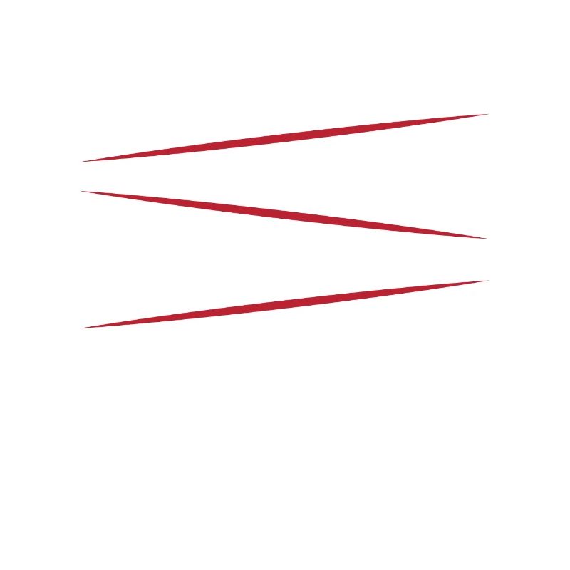 Ingenieur