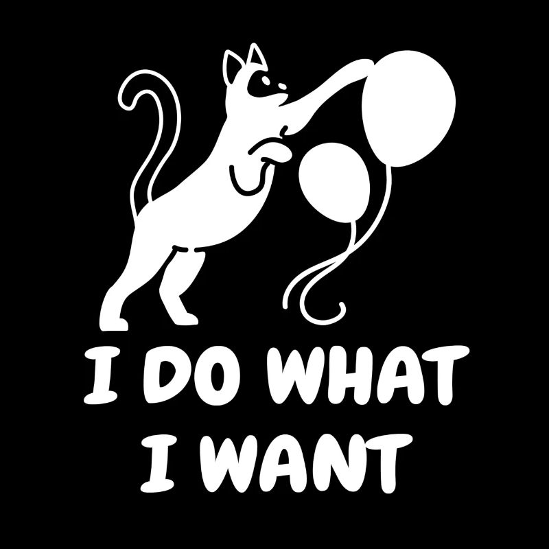 Chat Chat Chaton Chaton Chat Chat Chat domestique