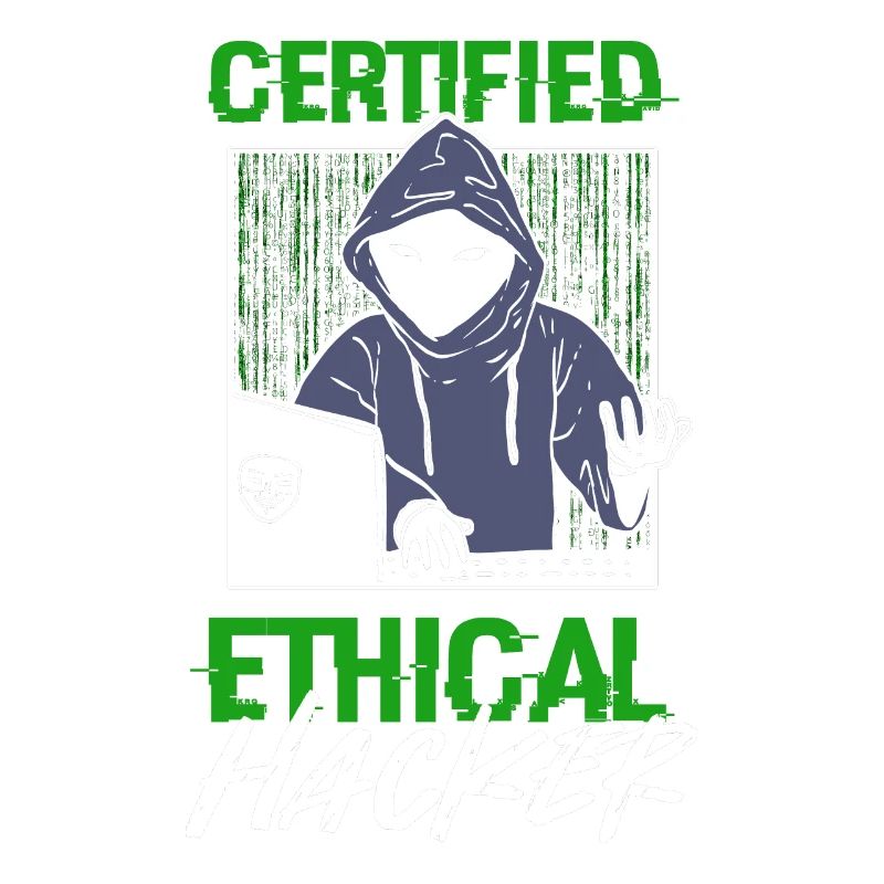 Certified Ethical Hacker Hacking Network Developer