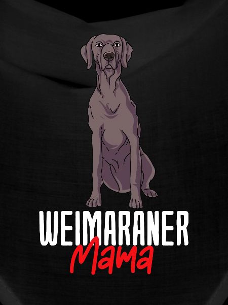 Weimaraner